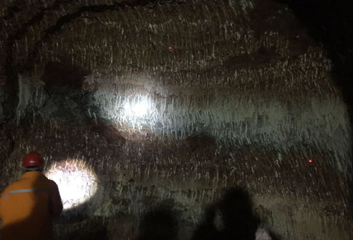 1543560046651888.png 39.png