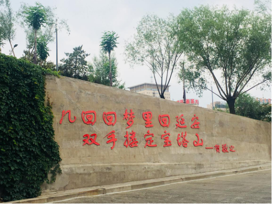 1543564614113603.png 1.png