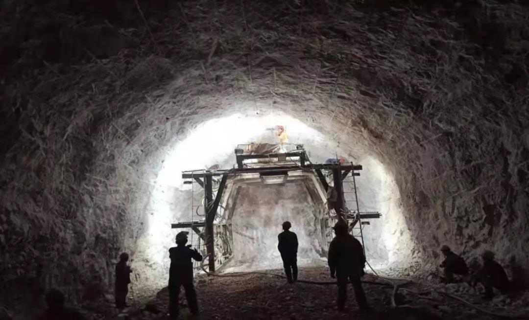 1641779486288313.jpg 6.jpg