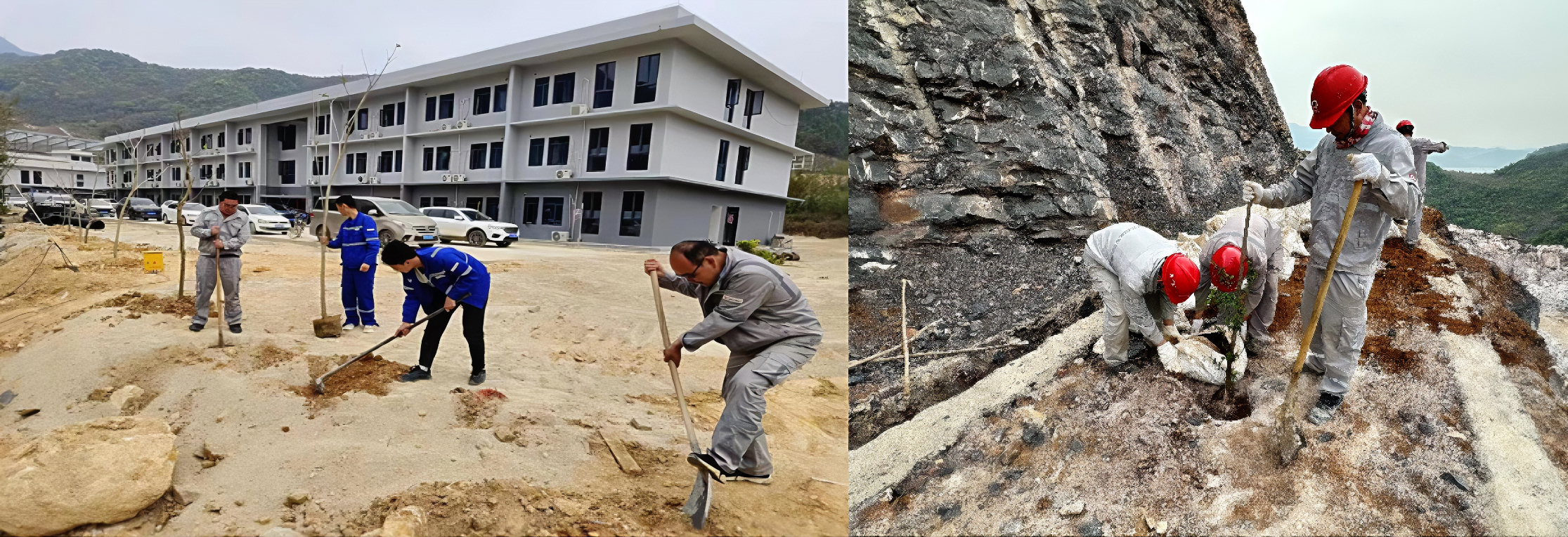 1678688509257879.jpg 6.jpg