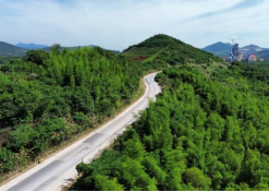 1695717177477037.png image.png